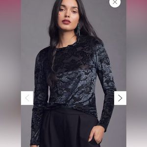 Anthropologie sheer velvet burnout top.